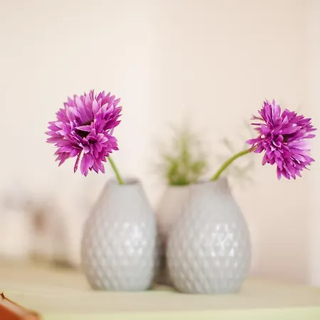 Centrál Casa de hóspedes *