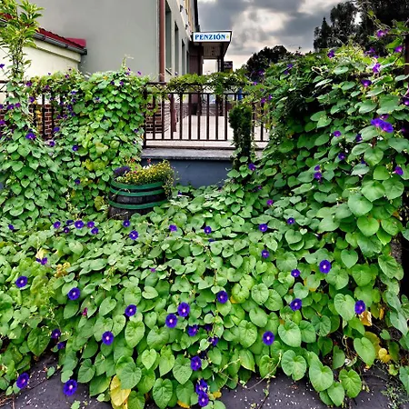 Guest house Penzion Central *